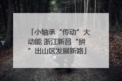 小轴承“传动”大动能 浙江新昌“拼”出山区发展新路