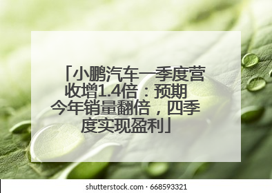 小鹏汽车一季度营收增1.4倍：预期今年销量翻倍，四季度实现盈利