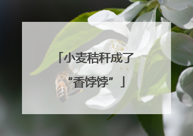 小麦秸秆成了“香饽饽”
