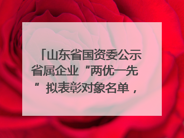 山东省国资委公示省属企业“两优一先”拟表彰对象名单，共250名（个）党员和党组织