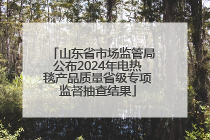 山东省市场监管局公布2024年电热毯产品质量省级专项监督抽查结果