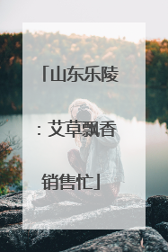 山东乐陵：艾草飘香销售忙