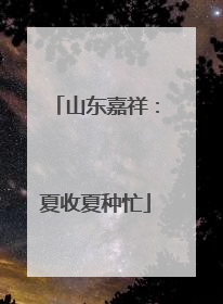山东嘉祥：夏收夏种忙