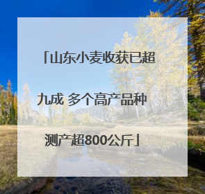 山东小麦收获已超九成 多个高产品种测产超800公斤