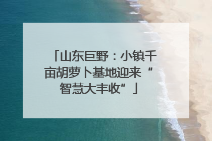 山东巨野：小镇千亩胡萝卜基地迎来“智慧大丰收”