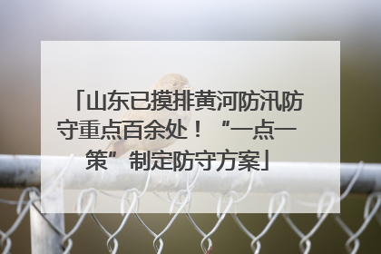 山东已摸排黄河防汛防守重点百余处！“一点一策”制定防守方案