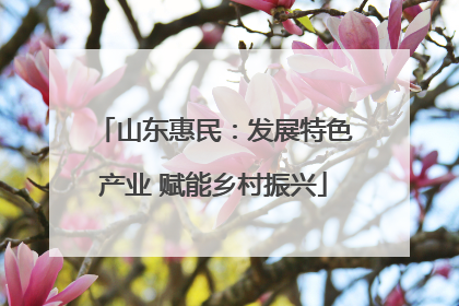 山东惠民：发展特色产业 赋能乡村振兴