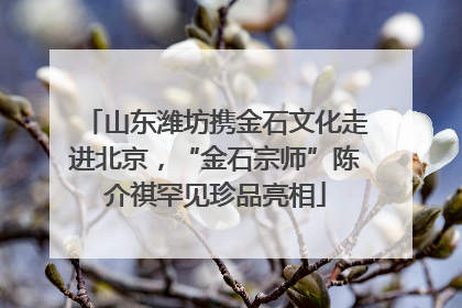 山东潍坊携金石文化走进北京，“金石宗师”陈介祺罕见珍品亮相