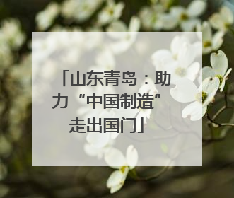 山东青岛：助力“中国制造”走出国门