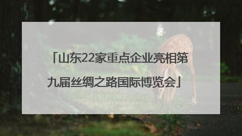 山东22家重点企业亮相第九届丝绸之路国际博览会