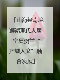 山海经奇境邂逅现代人居 宁夏贺兰“产城人文”融合发展