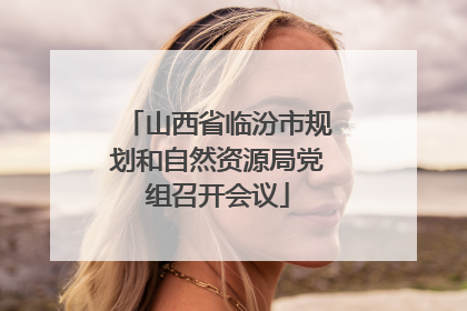山西省临汾市规划和自然资源局党组召开会议