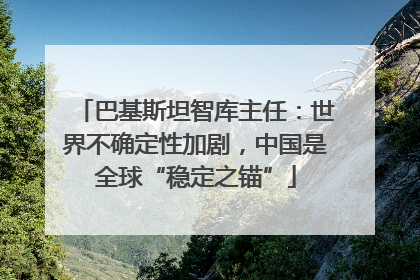 巴基斯坦智库主任：世界不确定性加剧，中国是全球“稳定之锚”