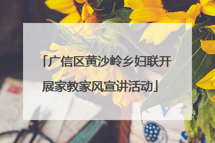 广信区黄沙岭乡妇联开展家教家风宣讲活动