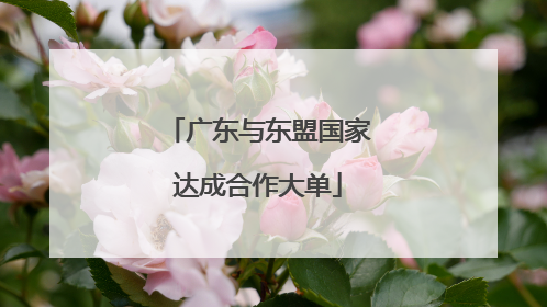 广东与东盟国家达成合作大单