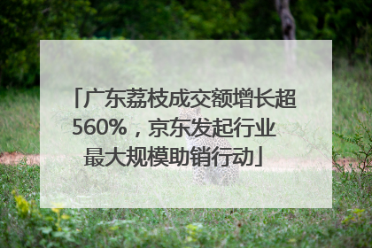 广东荔枝成交额增长超560%，京东发起行业最大规模助销行动