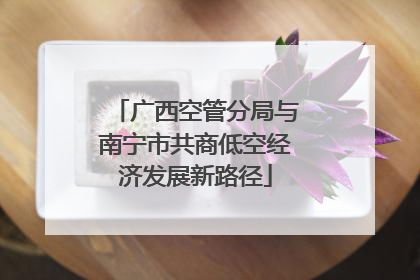 广西空管分局与南宁市共商低空经济发展新路径