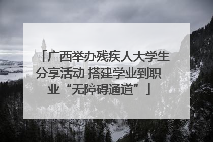 广西举办残疾人大学生分享活动 搭建学业到职业“无障碍通道”