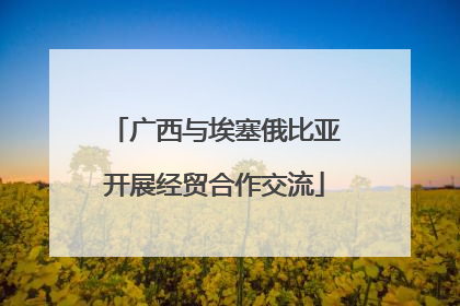 广西与埃塞俄比亚开展经贸合作交流