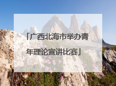 广西北海市举办青年理论宣讲比赛