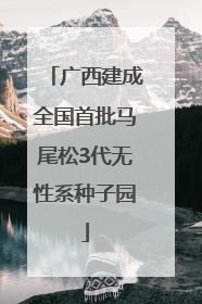 广西建成全国首批马尾松3代无性系种子园