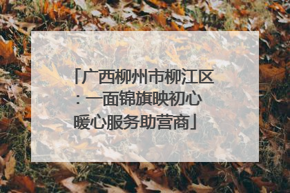 广西柳州市柳江区：一面锦旗映初心 暖心服务助营商