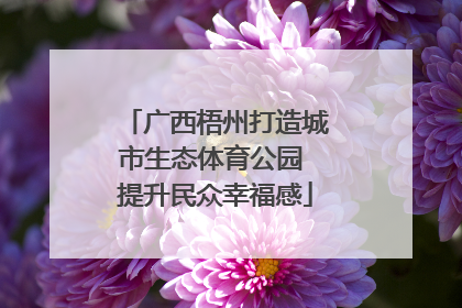 广西梧州打造城市生态体育公园 提升民众幸福感