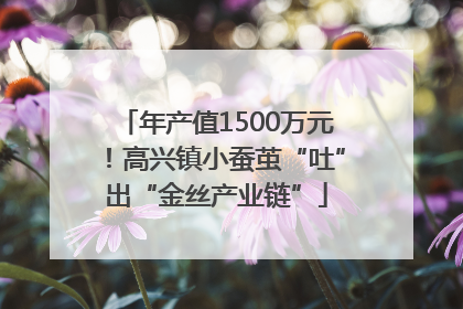 年产值1500万元！高兴镇小蚕茧“吐”出“金丝产业链”