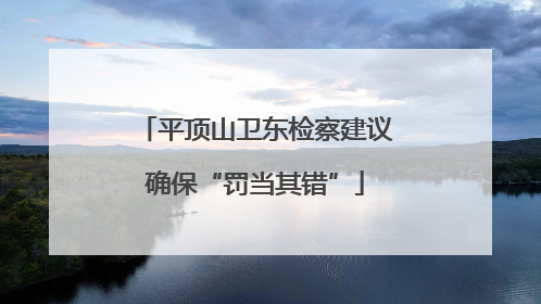 平顶山卫东检察建议确保“罚当其错”