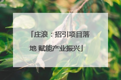 庄浪：招引项目落地 赋能产业振兴