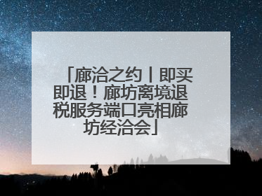 廊洽之约丨即买即退！廊坊离境退税服务端口亮相廊坊经洽会