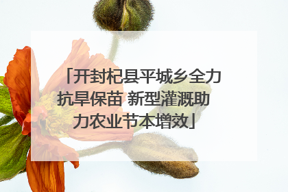 开封杞县平城乡全力抗旱保苗 新型灌溉助力农业节本增效