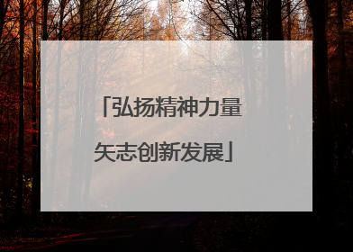 弘扬精神力量 矢志创新发展