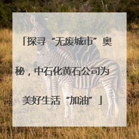 探寻“无废城市”奥秘，中石化黄石公司为美好生活“加油”