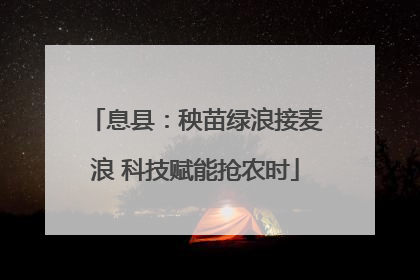 息县：秧苗绿浪接麦浪 科技赋能抢农时