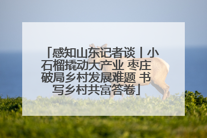 感知山东记者谈丨小石榴撬动大产业 枣庄破局乡村发展难题 书写乡村共富答卷