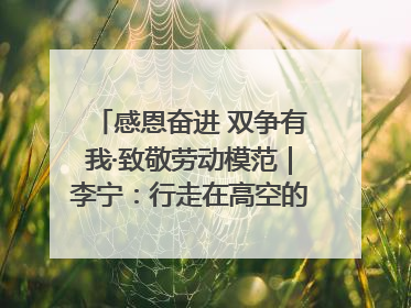 感恩奋进 双争有我·致敬劳动模范｜李宁：行走在高空的“电网卫士”