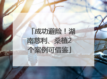 成功避险！湖南慈利、桑植2个案例可借鉴