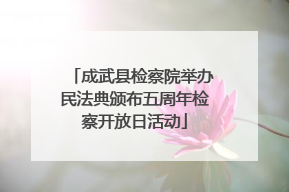 成武县检察院举办民法典颁布五周年检察开放日活动
