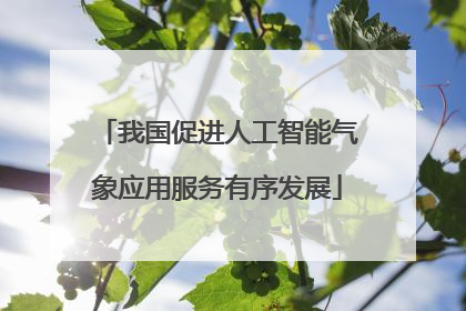 我国促进人工智能气象应用服务有序发展
