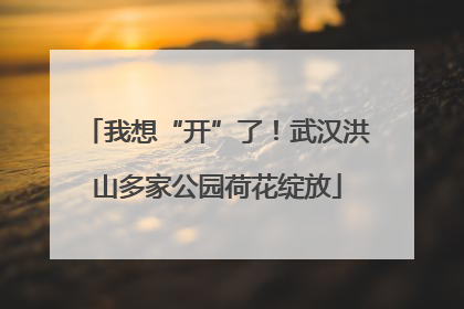 我想“开”了！武汉洪山多家公园荷花绽放