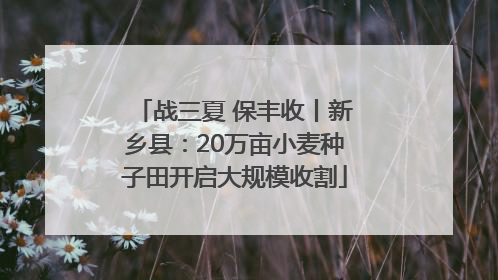 战三夏 保丰收丨新乡县：20万亩小麦种子田开启大规模收割