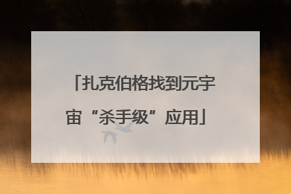 扎克伯格找到元宇宙“杀手级”应用