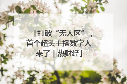 打破“无人区”，首个超头主播数字人来了｜热财经