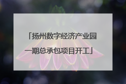 扬州数字经济产业园一期总承包项目开工