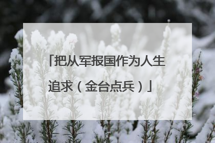把从军报国作为人生追求（金台点兵）