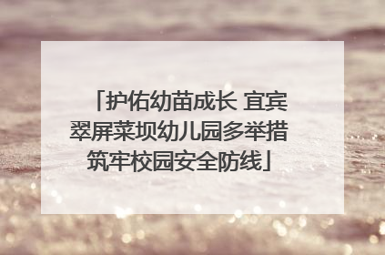 护佑幼苗成长 宜宾翠屏菜坝幼儿园多举措筑牢校园安全防线