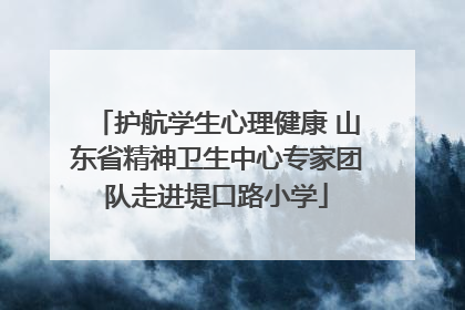 护航学生心理健康 山东省精神卫生中心专家团队走进堤口路小学