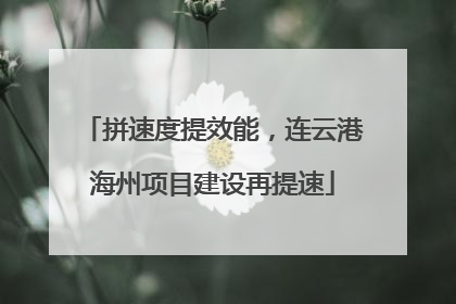 拼速度提效能，连云港海州项目建设再提速