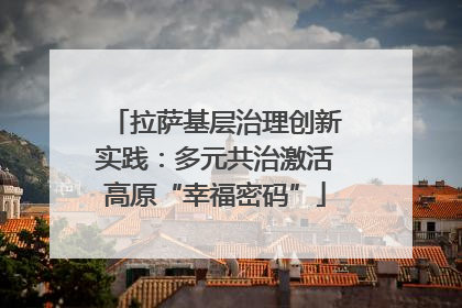 拉萨基层治理创新实践：多元共治激活高原“幸福密码”